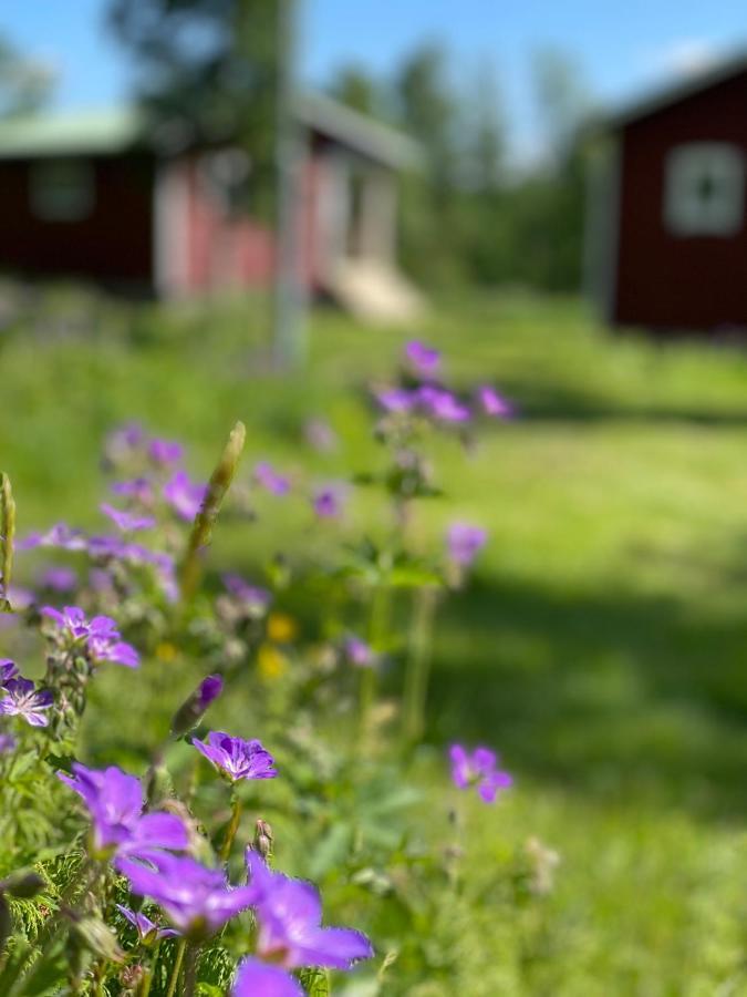 Вілла Taenndalens Stugby Екстер'єр фото
